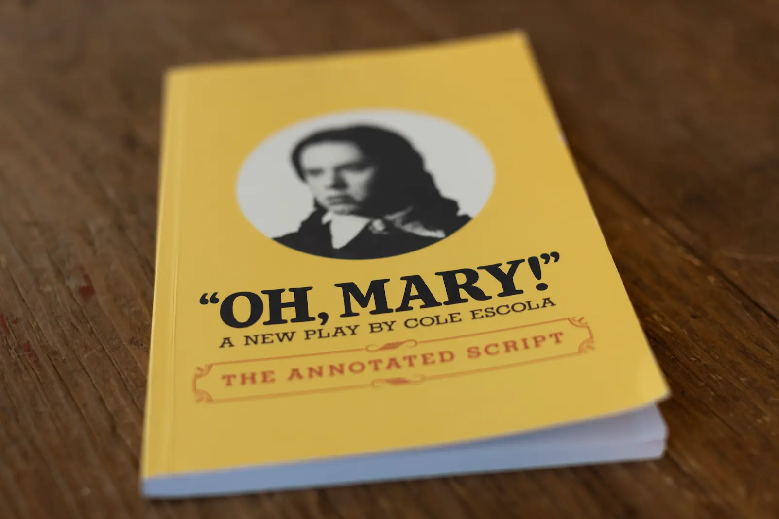 Project artwork for Annotating Oh, Mary!