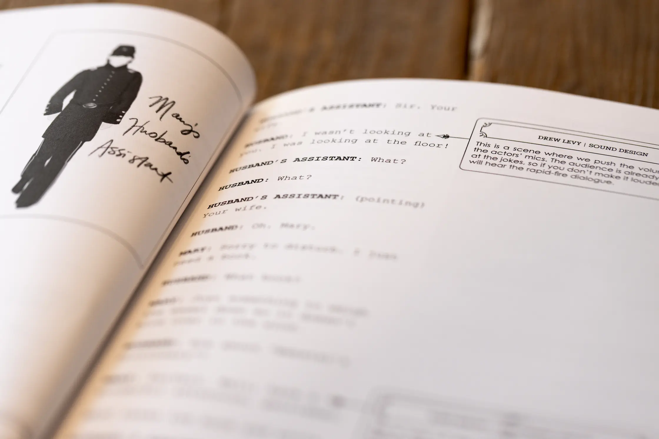 Project detail photo for Annotating Oh, Mary!